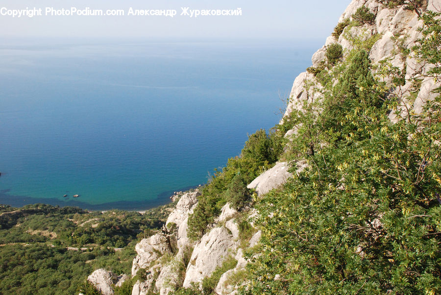 Landslide, Cliff, Outdoors, Rock, Bush, Plant, Vegetation