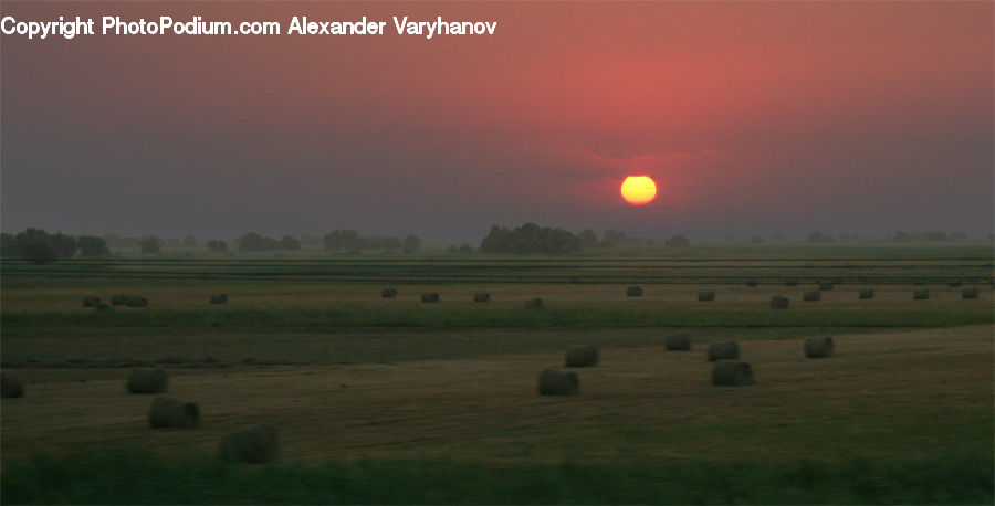 Field, Grass, Grassland, Land, Outdoors, Landscape, Nature