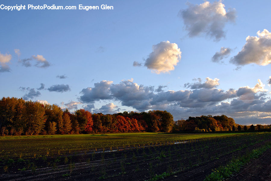 Cloud, Cumulus, Sky, Azure Sky, Outdoors, Dirt Road, Gravel