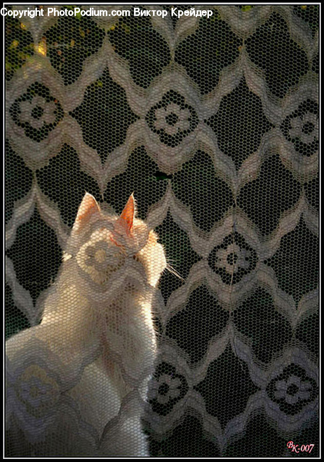 Blanket, Home Decor, Quilt, Towel, Animal, Cat, Kitten