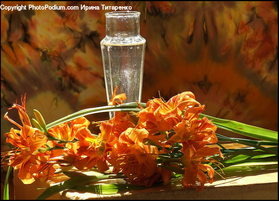 Carrot, Root, Vegetable, Jar, Art, Food, Honey