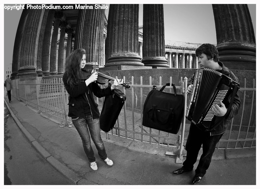 Accordion, Musical Instrument, People, Person, Human, Fiddle, Viola