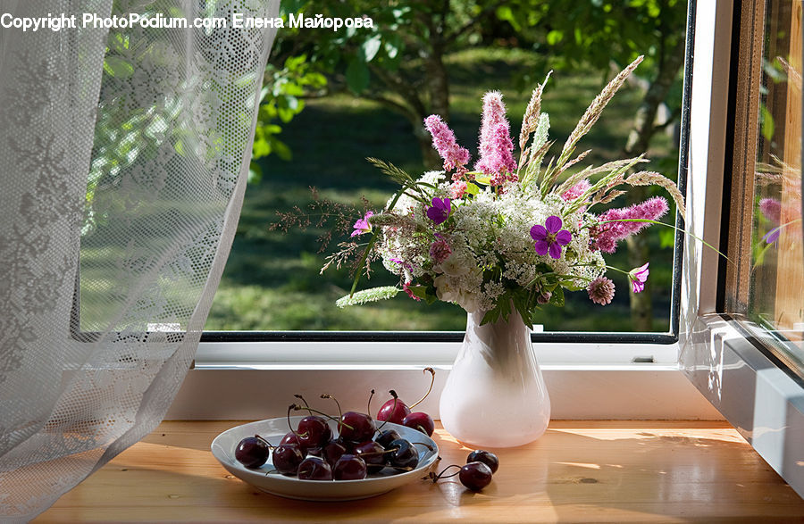 Plant, Potted Plant, Bowl, Cherry, Fruit, Chocolate, Dessert