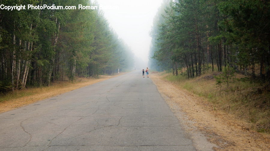 Dirt Road, Gravel, Road, Path, Walkway