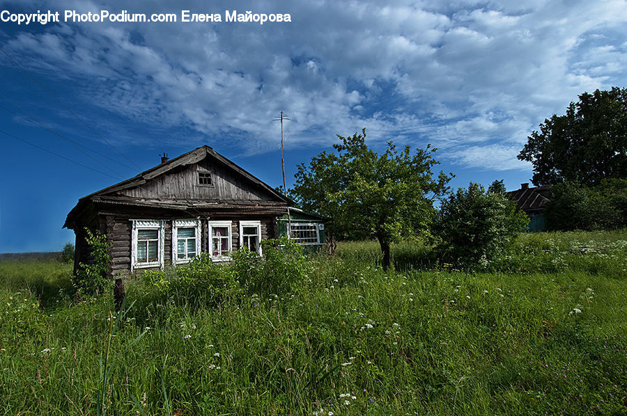 Building, House, Housing, Field, Grass, Grassland, Land