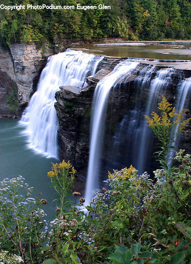 Outdoors, River, Water, Waterfall, Plant, Bush, Vegetation