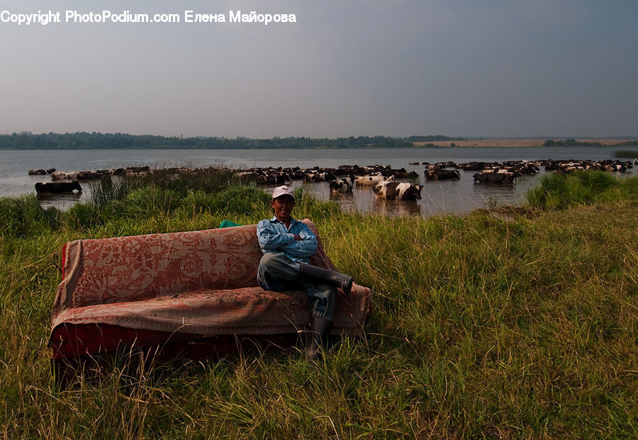 People, Person, Human, Couch, Furniture, Field, Grass