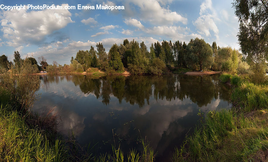 Outdoors, Pond, Water, Lake, Field, Grass, Grassland