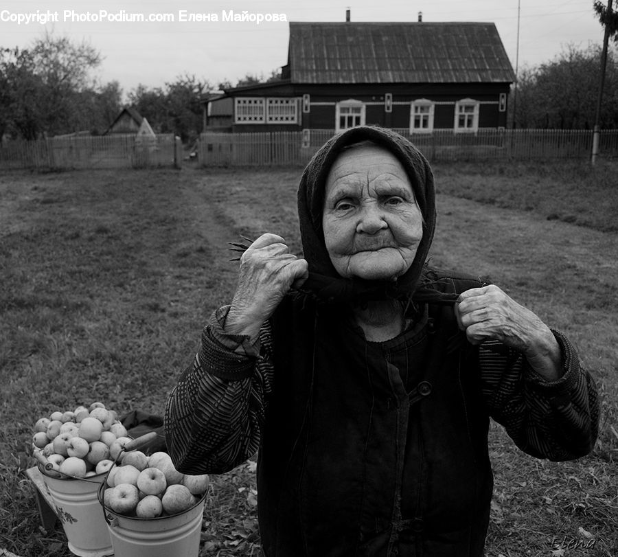 Human, People, Person, Portrait, Face, Smile