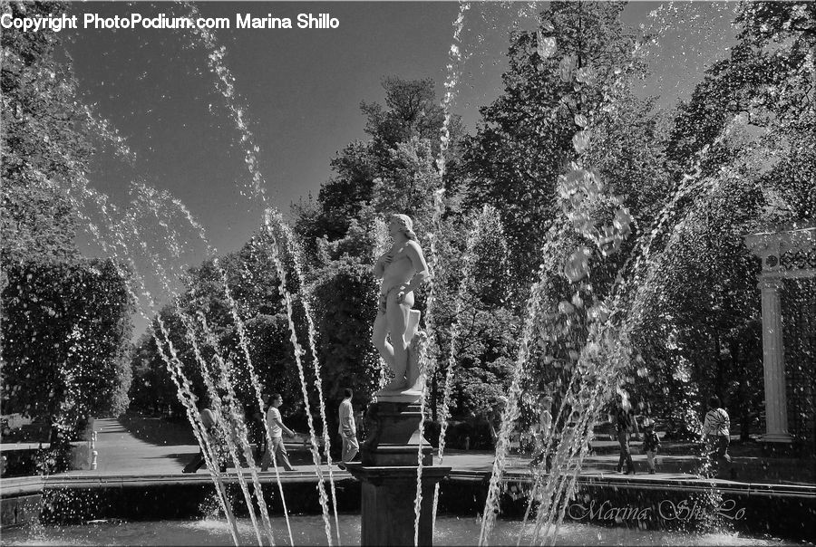 Fountain, Water, Bench, Playground, Swing, Fir, Forest