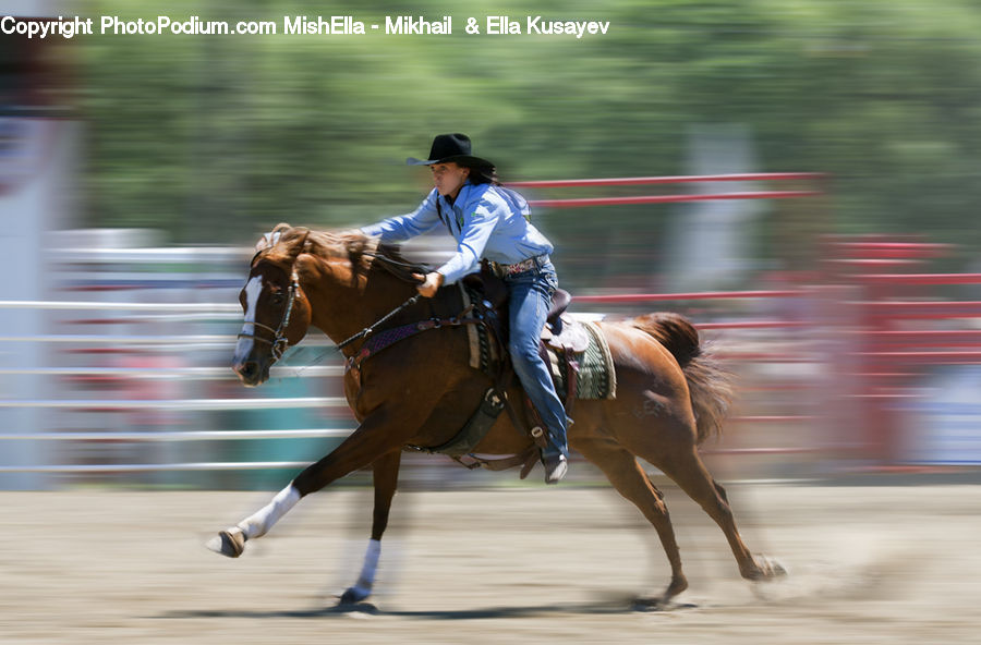 People, Person, Human, Animal, Equestrian, Horse, Mammal