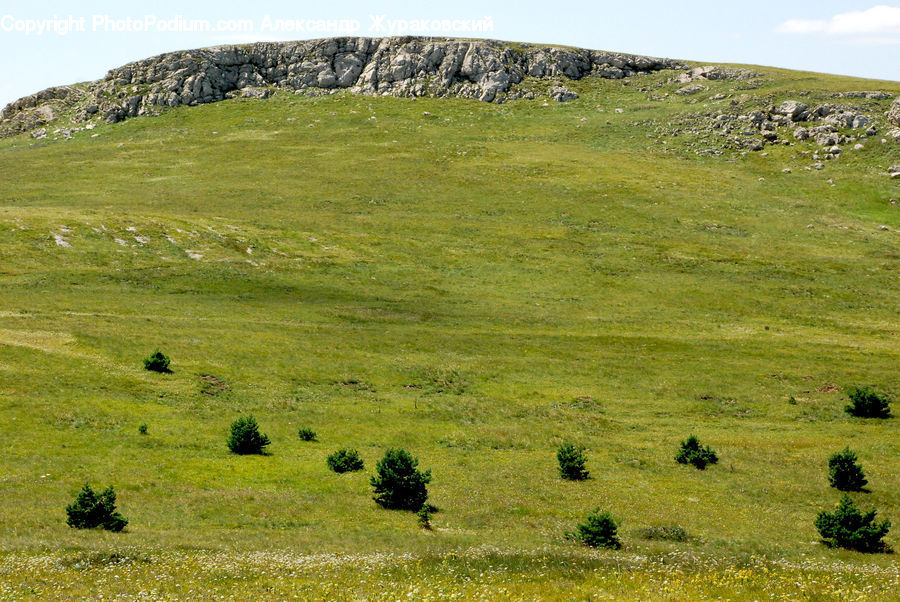 Field, Grass, Grassland, Land, Outdoors, Countryside, Meadow