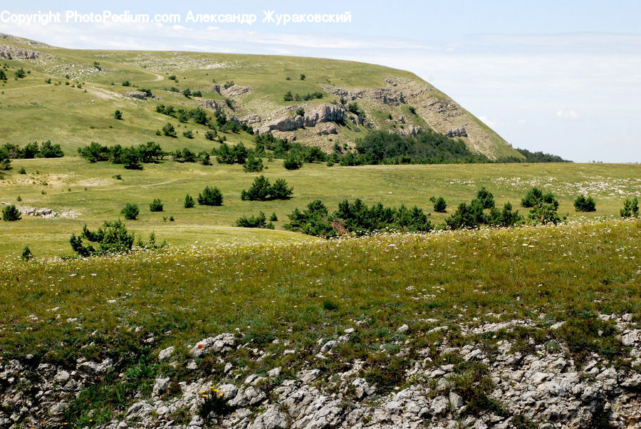 Countryside, Field, Grass, Grassland, Hill, Land, Outdoors