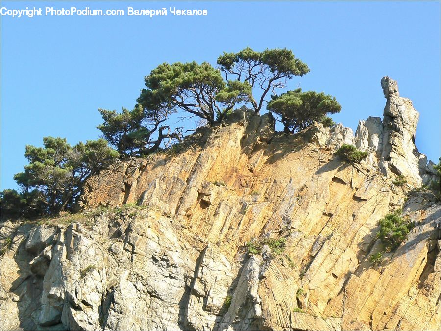 Cliff, Outdoors, Rock, Plant, Vegetation, Tree, Ruins