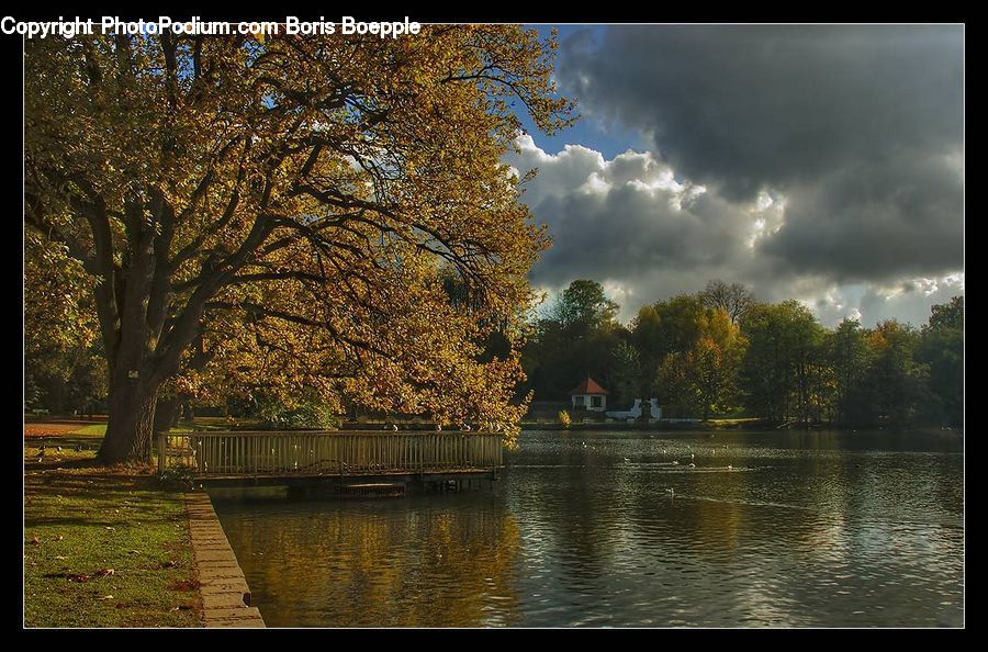 Outdoors, Pond, Water, Flood, River, Landscape, Nature
