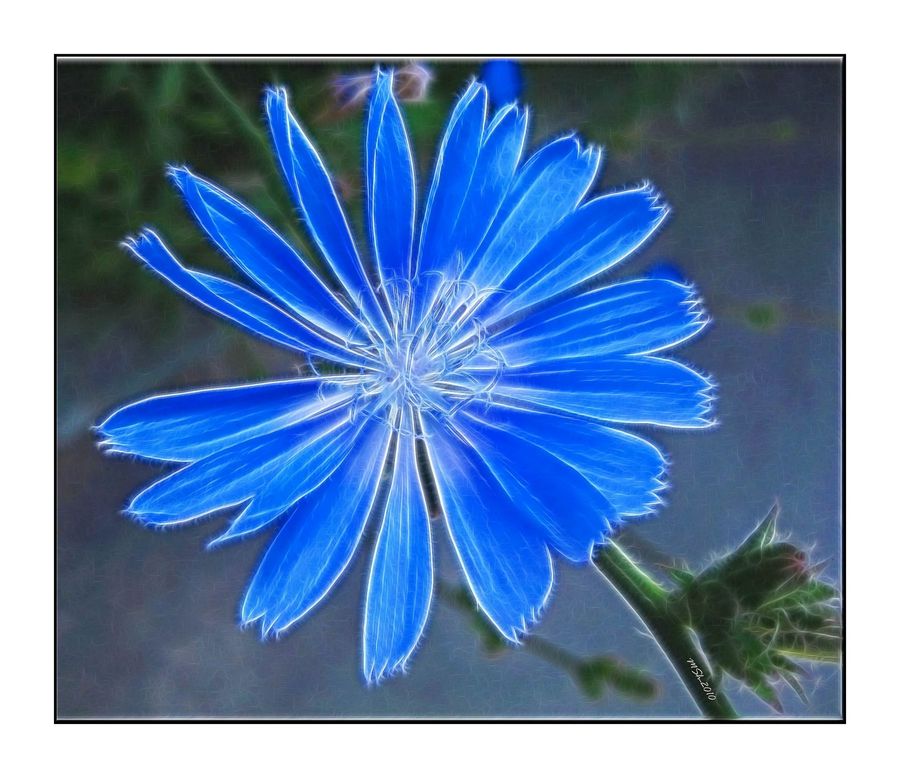 Outdoors, Storm, Thunderstorm, Weather, Blossom, Flora, Flower