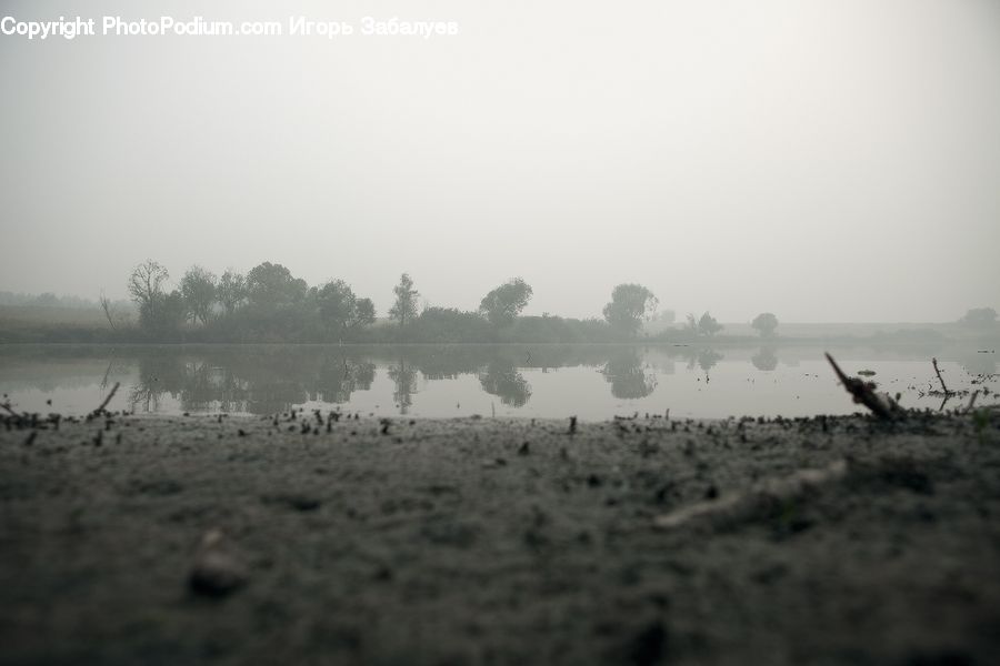 Aircraft, Airplane, Land, Marsh, Outdoors, Swamp, Water