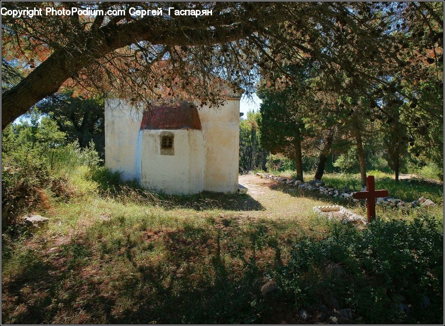 Oak, Tree, Wood, Building, Cottage, Housing, Outhouse