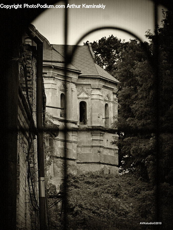 Arch, Tomb, Ivy, Plant, Vine, Alley, Alleyway