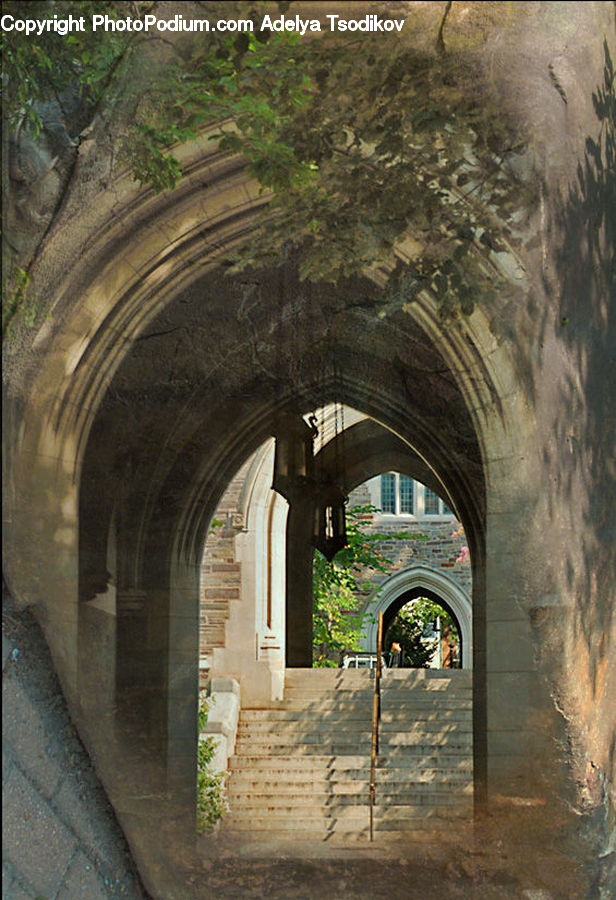 Arch, Corridor, Forest, Jungle, Rainforest, Vegetation, Castle