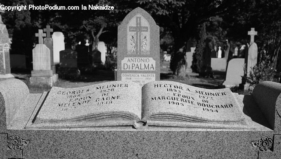 Tomb, Plant, Potted Plant, Tombstone, Oak, Tree, Wood