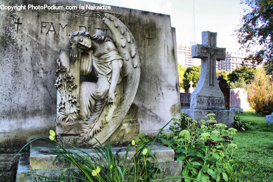 Tomb, Tombstone, Herbal, Herbs, Plant, Planter, Tree