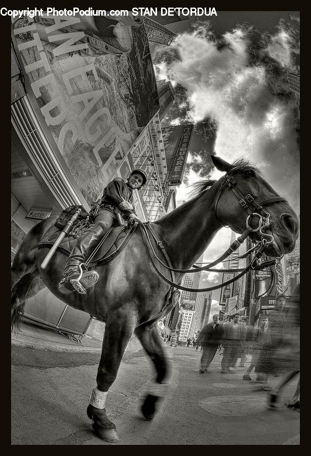 Animal, Horse, Mammal, Performer, Person, City, Downtown