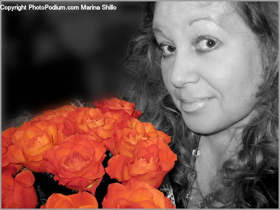 People, Person, Human, Blossom, Flora, Flower, Petal
