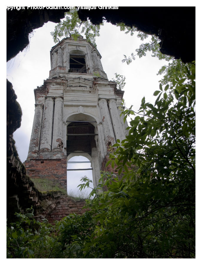 Architecture, Bell Tower, Clock Tower, Tower, Plant, Potted Plant, Arch