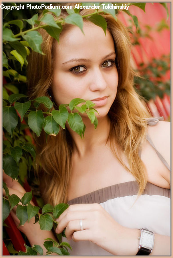 People, Person, Human, Blonde, Female, Woman, Plant