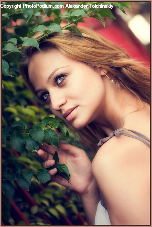 Human, People, Person, Plant, Potted Plant, Portrait