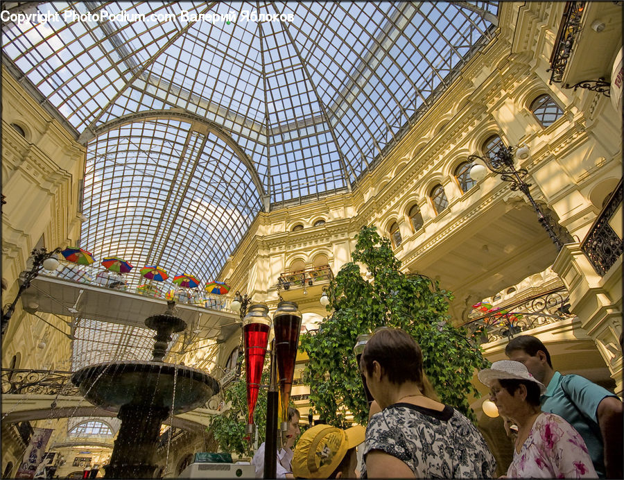 People, Person, Human, Food Court, Plant, Potted Plant, Bird