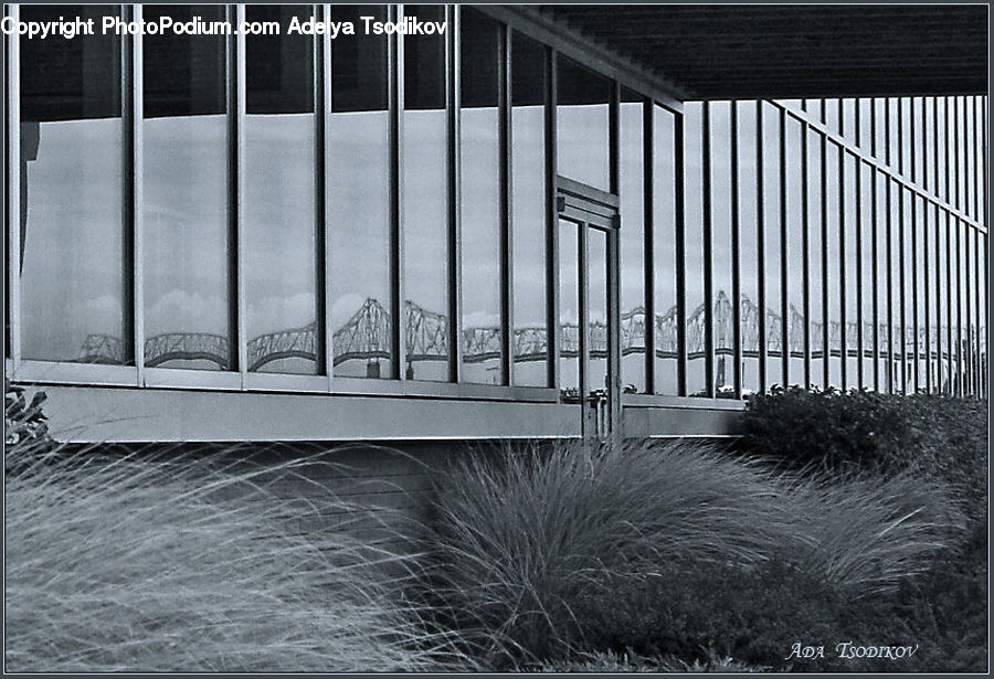 Railing, Photo Booth, City, Downtown, Urban