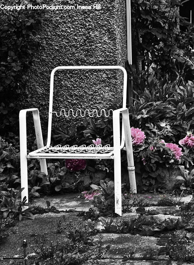 Chair, Furniture, Water, Cross, Blossom, Flora, Flower