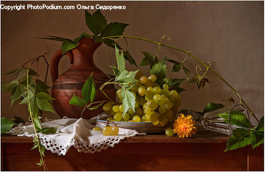 Flower Arrangement, Ikebana, Plant, Potted Plant, Vase, Floral Design, Flower