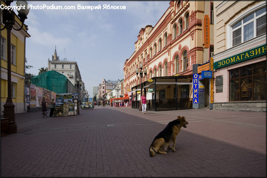 City, Downtown, Urban, Road, Street, Town, Boardwalk