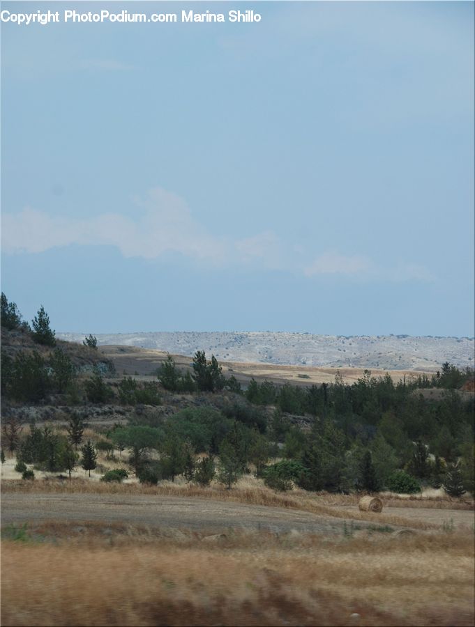 Soil, Dirt Road, Gravel, Road, Field, Grass, Grassland