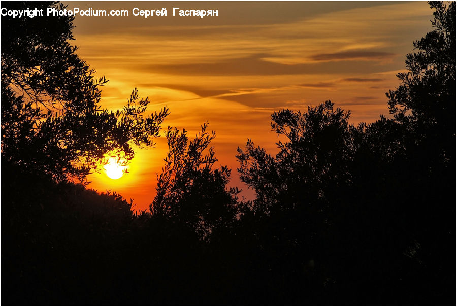 Dusk, Outdoors, Sky, Sunlight, Sunrise, Sunset, Dawn