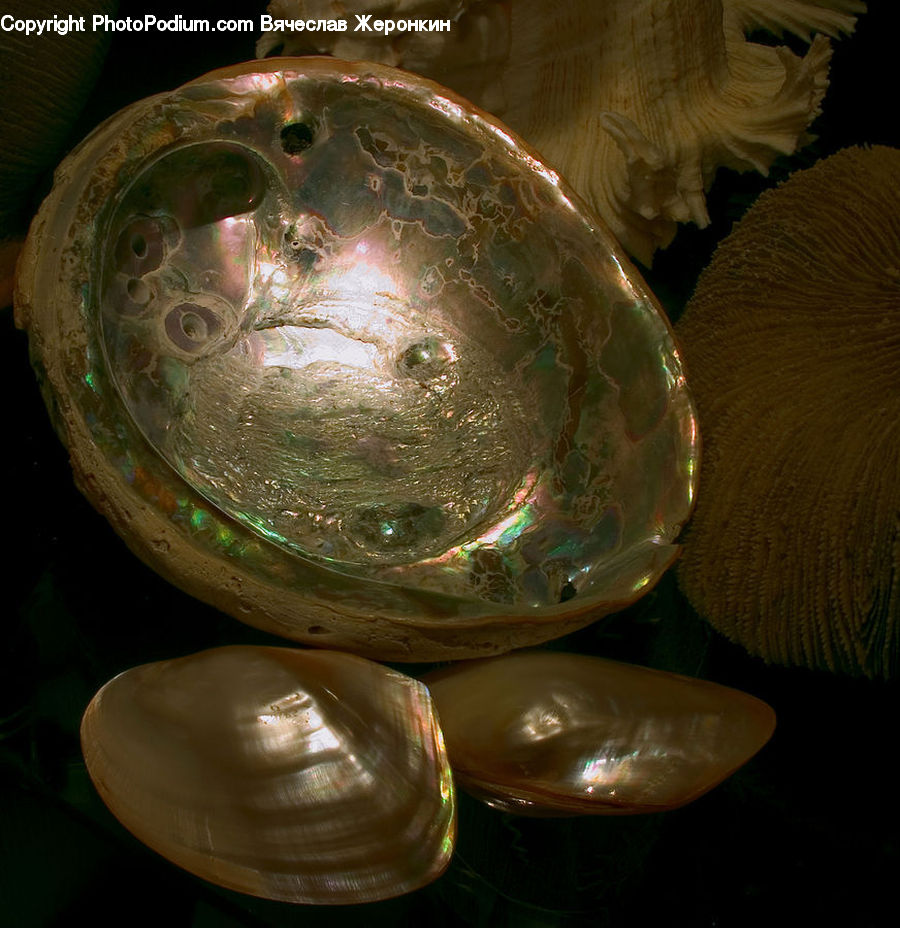 Glass, Globe, Planet, Sphere, Candy, Confectionery, Sweets
