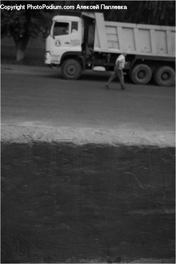 Plant, Potted Plant, Truck, Vehicle, Blackboard, Automobile, Car