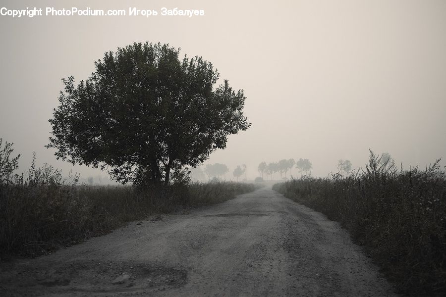 Dirt Road, Gravel, Road, Path, Trail, Countryside, Outdoors