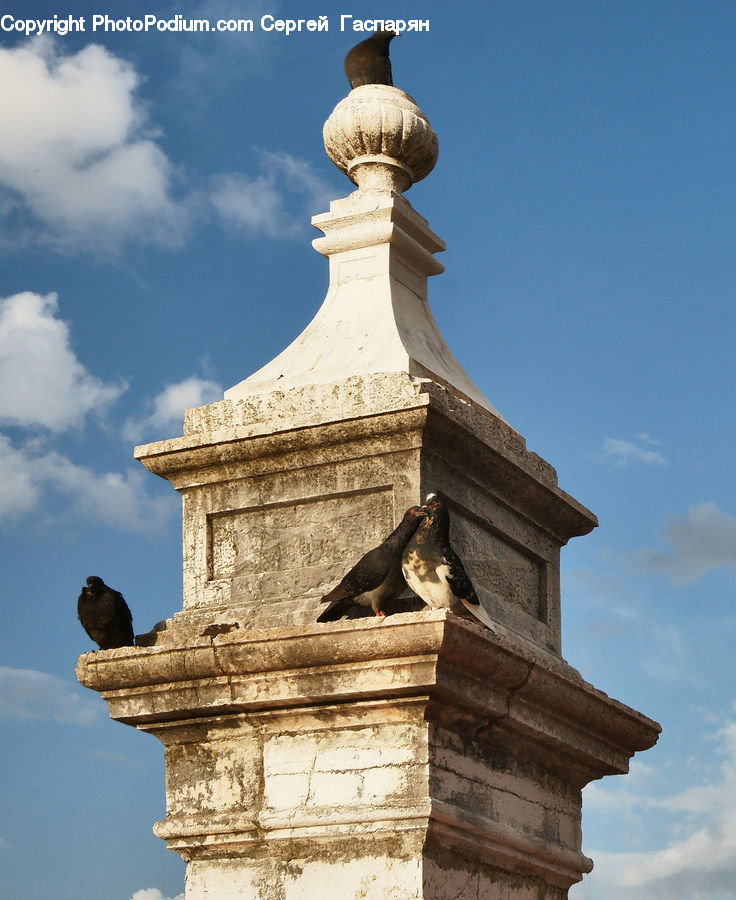 Bird, Pigeon, Architecture, Bell Tower, Clock Tower, Tower, Column