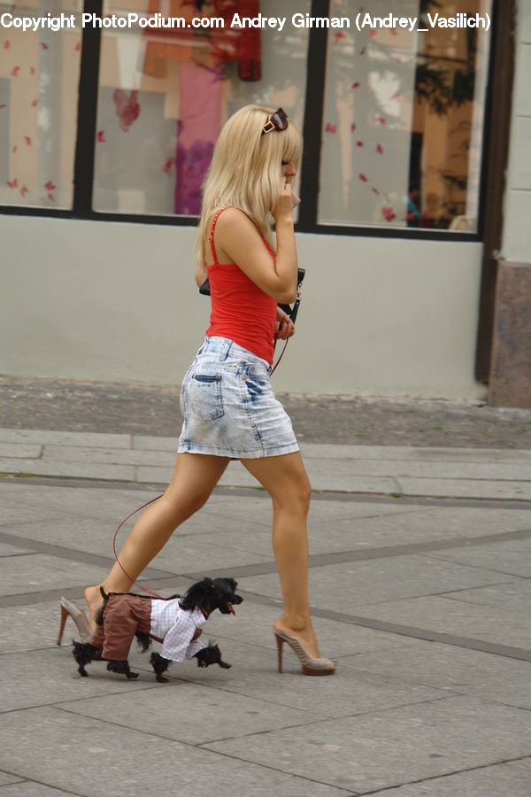 People, Person, Human, Blonde, Female, Woman, Girl