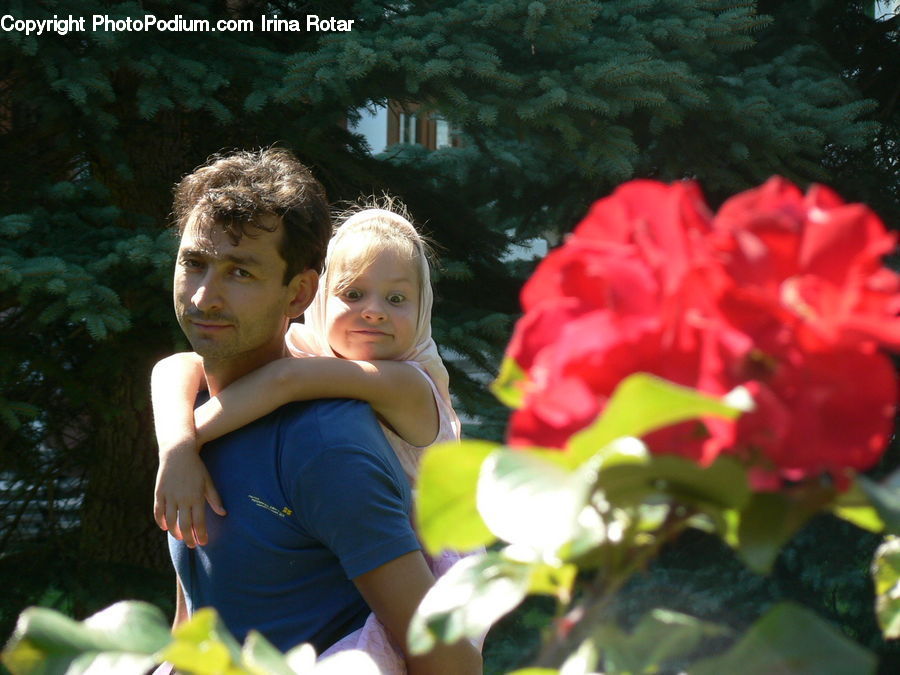 People, Person, Human, Flower, Flower Arrangement, Flower Bouquet, Leisure Activities
