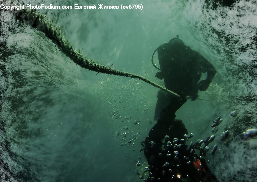 Diver, Diving, Person, Water, Adventure, Outdoors, Scuba Diving