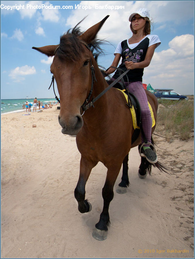 People, Person, Human, Animal, Equestrian, Horse, Boot