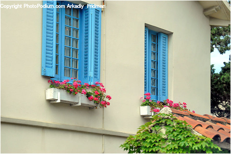 Plant, Potted Plant, Balcony, Building, Housing, Flower, Flower Arrangement