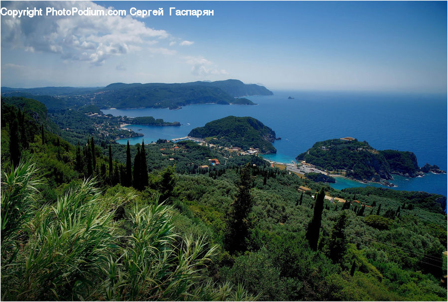 Coast, Outdoors, Sea, Water, Forest, Jungle, Rainforest