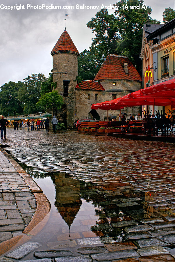 Plant, Tree, Cobblestone, Pavement, Walkway, Architecture, Church