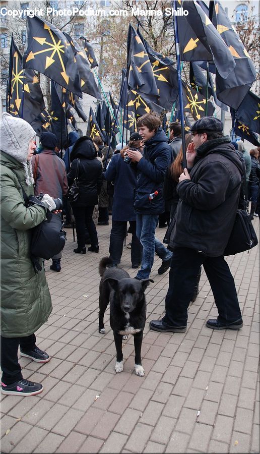 People, Person, Human, Officer, Police, Crowd, Animal